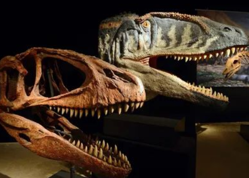 Understanding Carcharodontosaurus: The Giant Shark-Toothed Predator Before the T-Rex Era