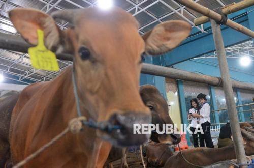 PUI Highlights Food Justice Through Eid al-Adha Sacrifice