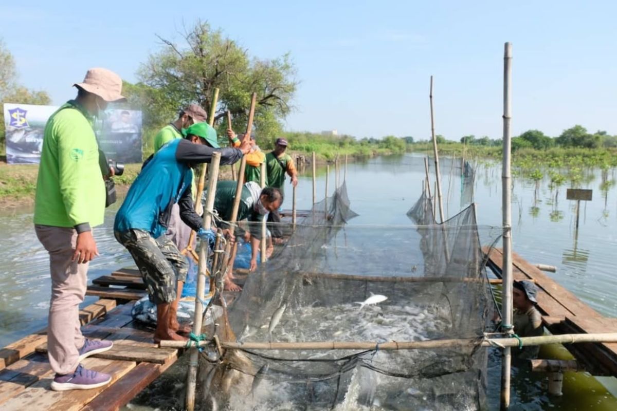 Planting Green, Harvesting the Sea