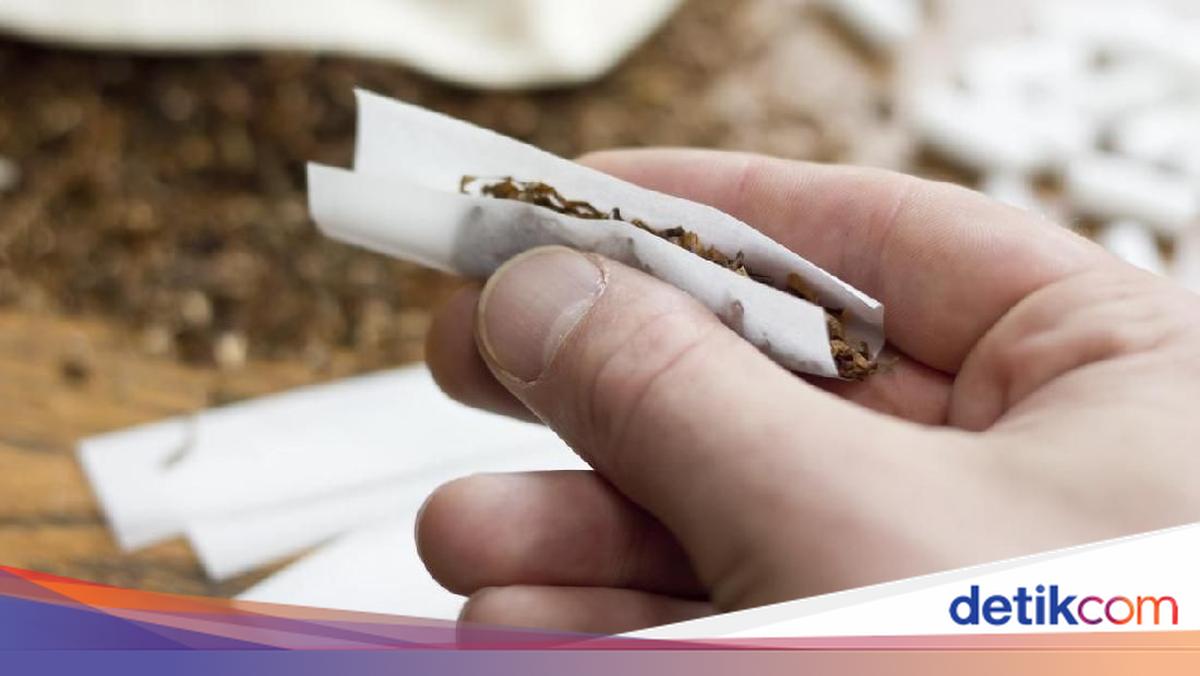 Tobacco Industry Leaders Highlight Impact of Cigarette Packaging Standardisation