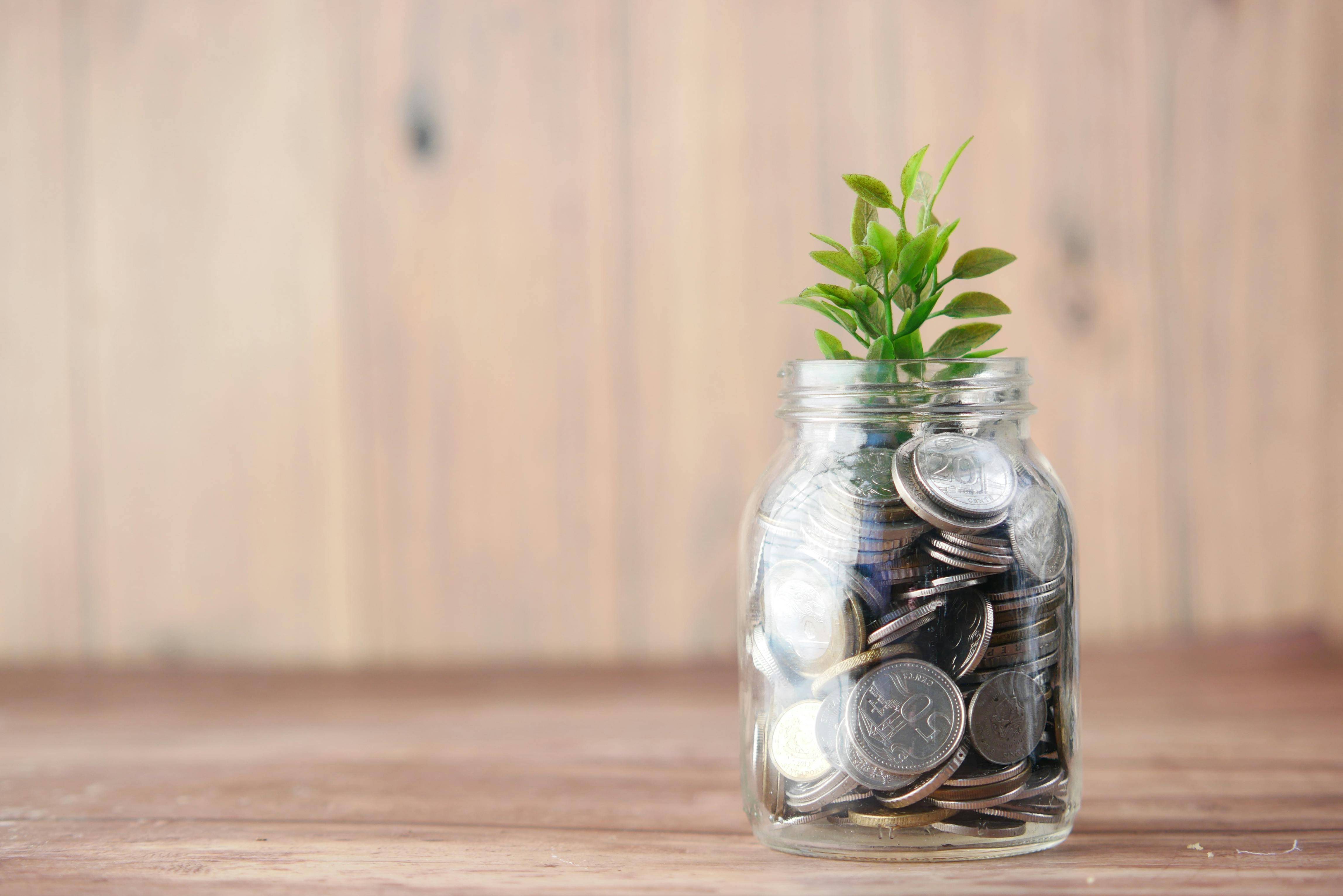 Not Just Returns: This Mutual Fund Consistently Maintains Long-Term Investment Stability