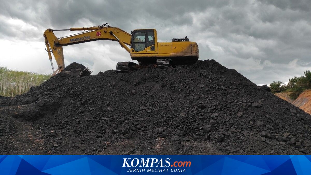 Mining Industry Seeks Clarity on Strategic Natural Resources Export Governance Transition