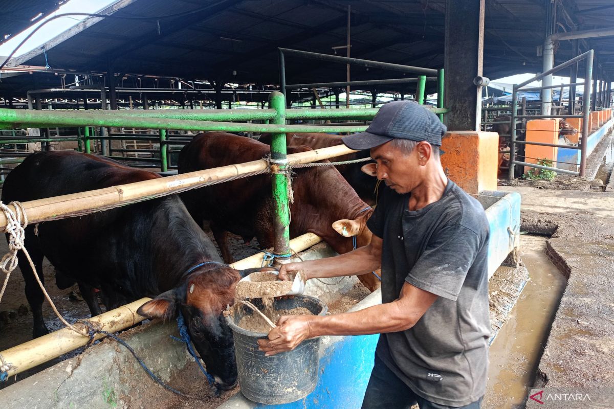 East Jakarta City Government Urges Residents to Maintain Cleanliness During Eid al-Adha Sacrifice