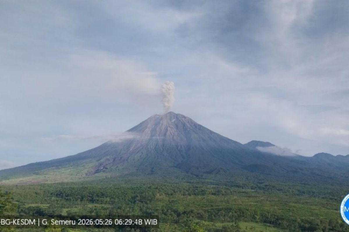 Semeru Erupts Five Times with Eruption Heights up to 1,000 Metres