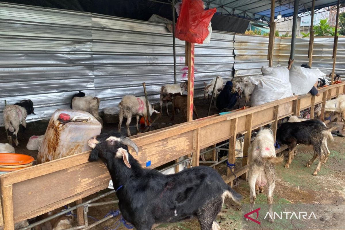 Al-Azhar Grand Mosque distributes sacrificial meat to foundations and residents