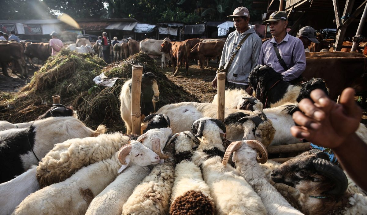 The Ruling on Sacrificing One Goat per Family: A Cross-Madhhab Analysis
