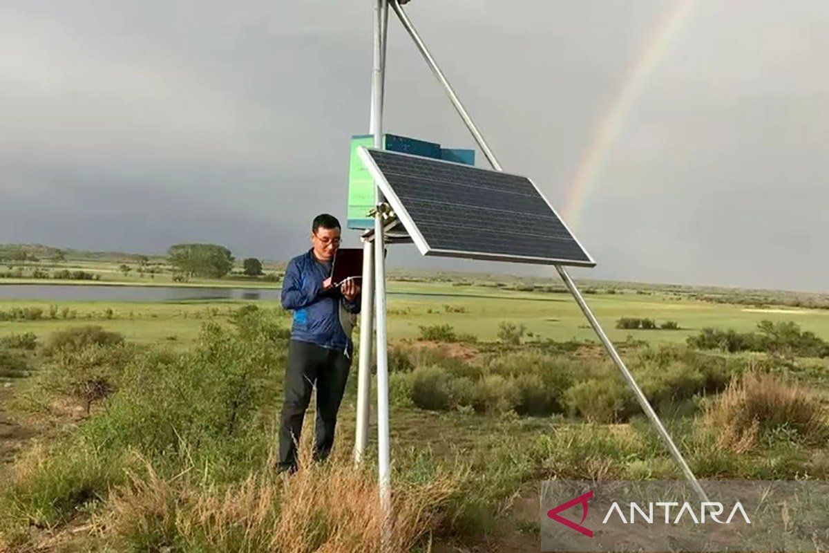 Young Chinese herder drives modernisation of herding through technology