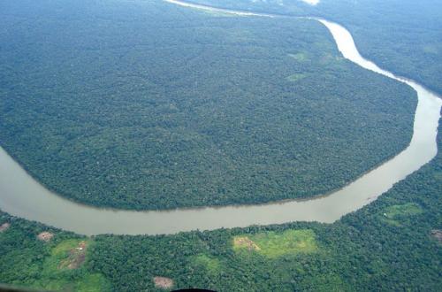  BrazilAnnounces $10 billion for green industries and Amazon conservation