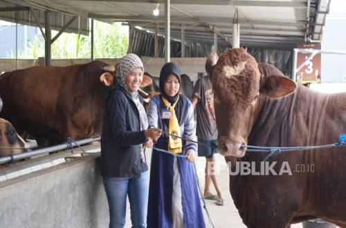 Qurban Animal Health Standards Education Conducted via Interactive Simulation