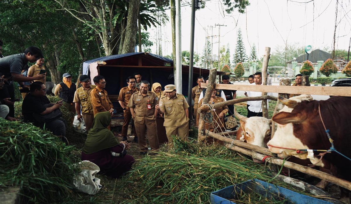 Bontang City Ensures All Eid al-Adha Sacrificial Animals Are Healthy and Safe