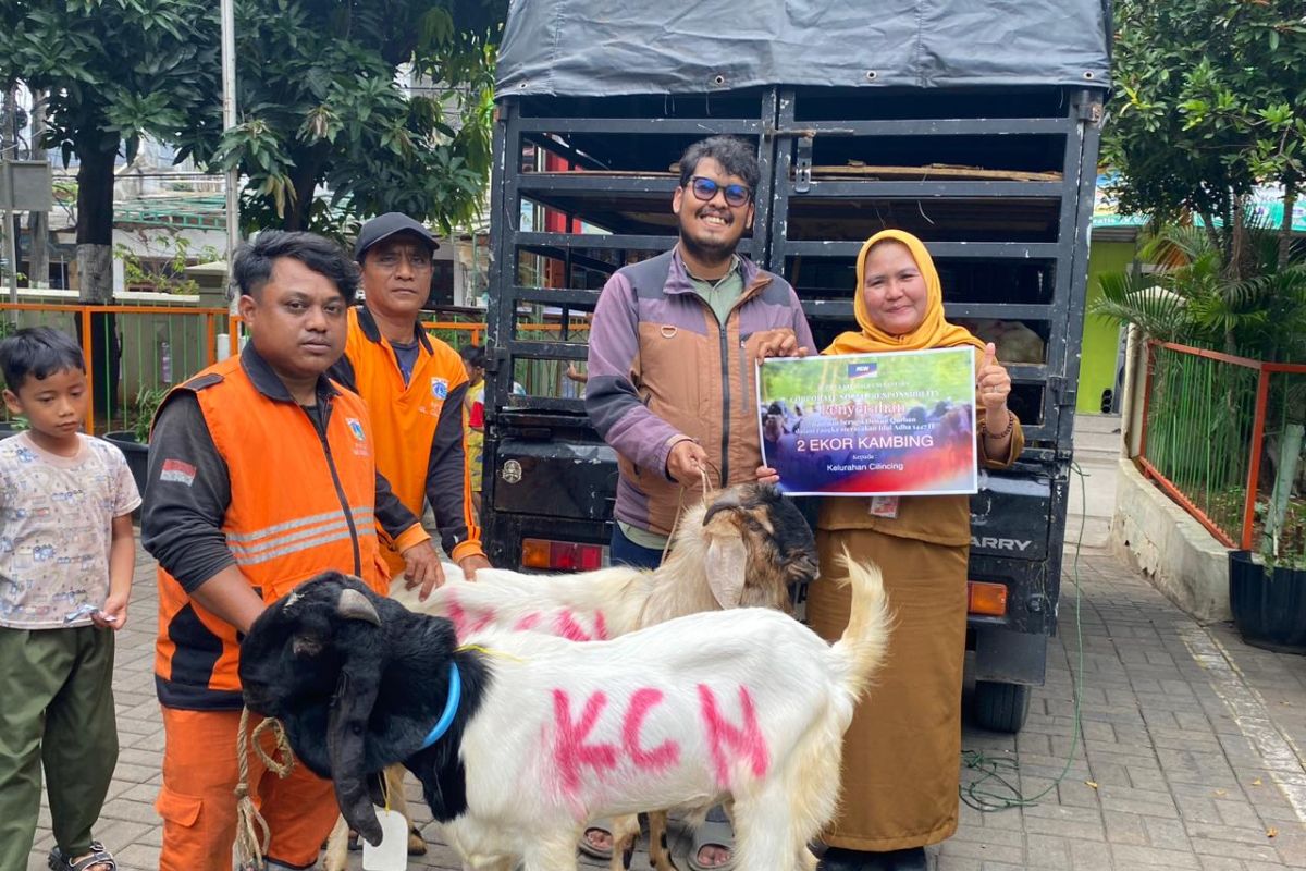 PT KCN Distributes 33 Qurban Animals to Community and Stakeholders in Cilincing and Marunda