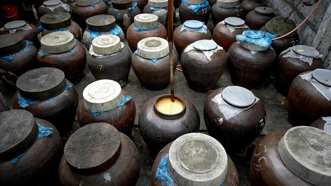 Scientists reveal taste of ancient beer buried for 2,300 years