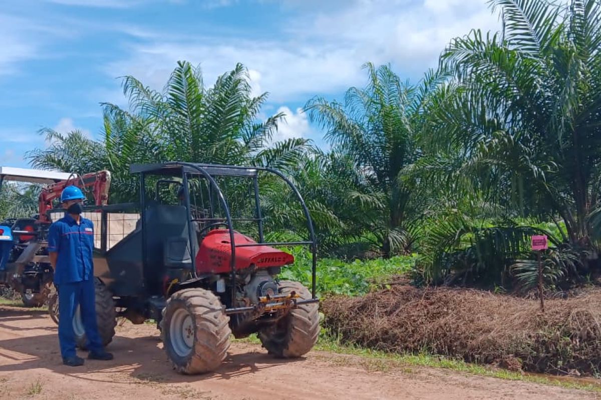 Gapki: Innovation and Technology a Strategic Necessity for the Palm Oil Industry