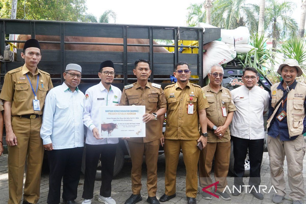 President Prabowo Subianto's Eid al-Adha sacrificial cow in Banjarmasin weighs 973kg