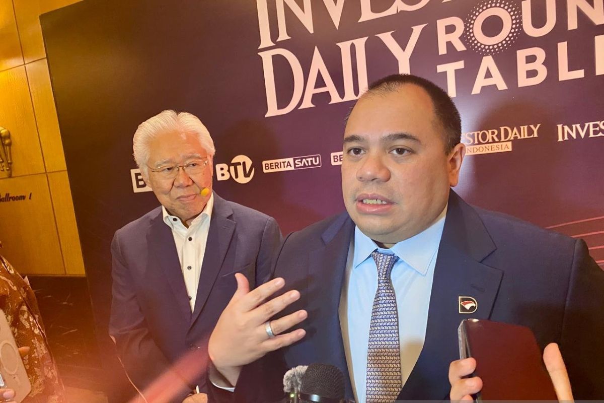 Danantara to recruit global talent to strengthen DSI’s human resources