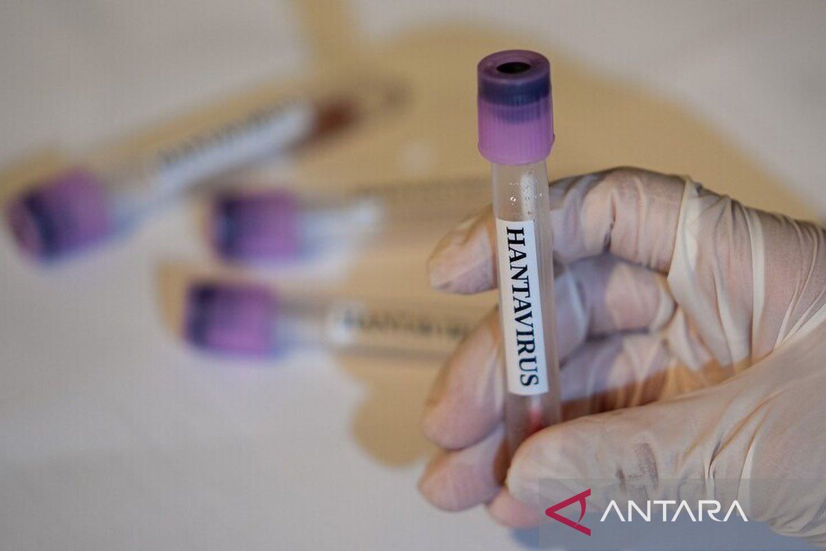 Four crew members who sailed to Somalia suspected of hantavirus in West Jakarta