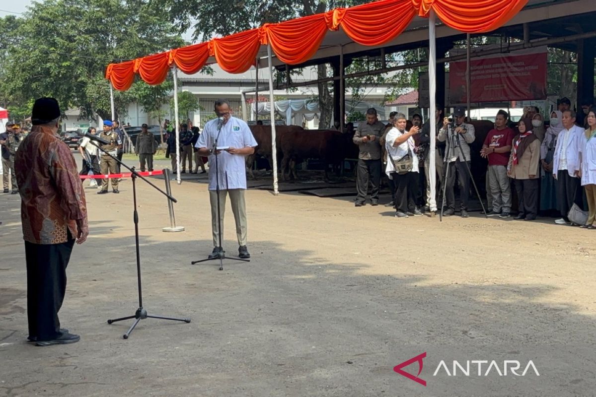 DKI Jakarta coordinates with supplier regions to ensure healthy sacrificial animals