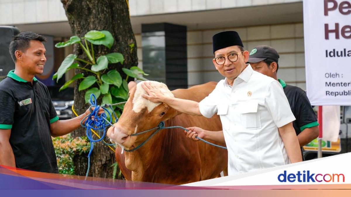 Ministry of Culture Sacrifices 23 Cows for Eid al-Adha, Minister Discusses Sacrifice Values