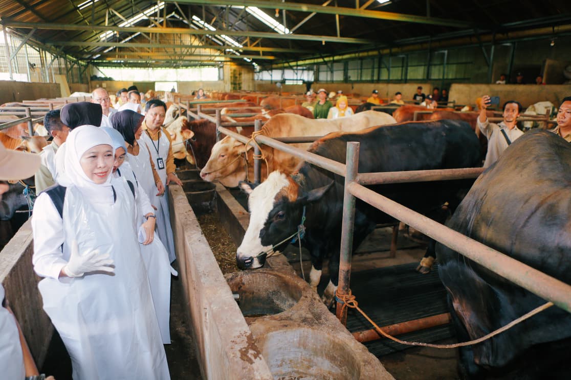 Livestock Movement Tightened as Hundreds of Veterinarians Guard East Java Borders