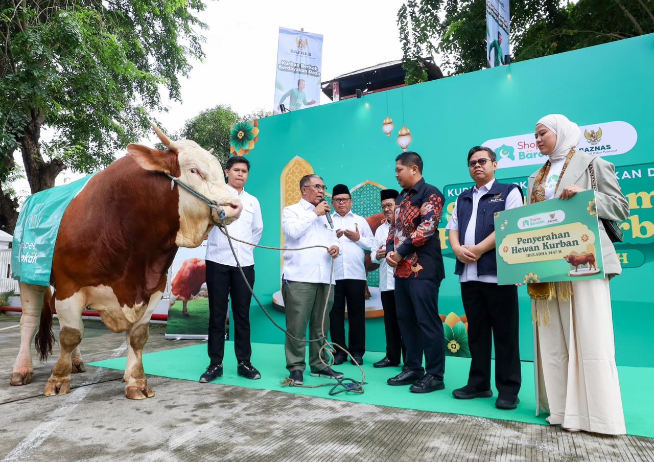 Baznas Receives Limousin Qurban Cow from Shopee Barokah