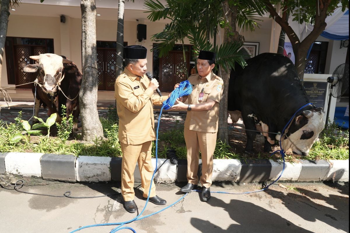 Home Affairs Minister distributes sacrificial animals for Eid al-Adha from Ministry of Home Affairs and BNPP to communities