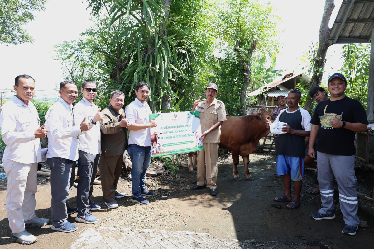 One Day Before Idul Adha, PLTU Batang Distributes 31 Sacrificial Animals Across 25 Locations