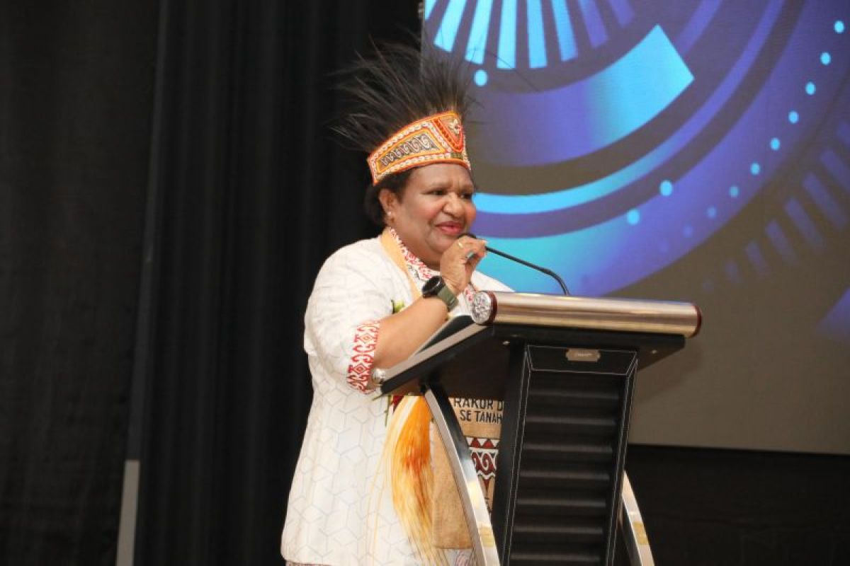 Deputy Home Affairs Minister highlights the need for synergy and governance in Papua development