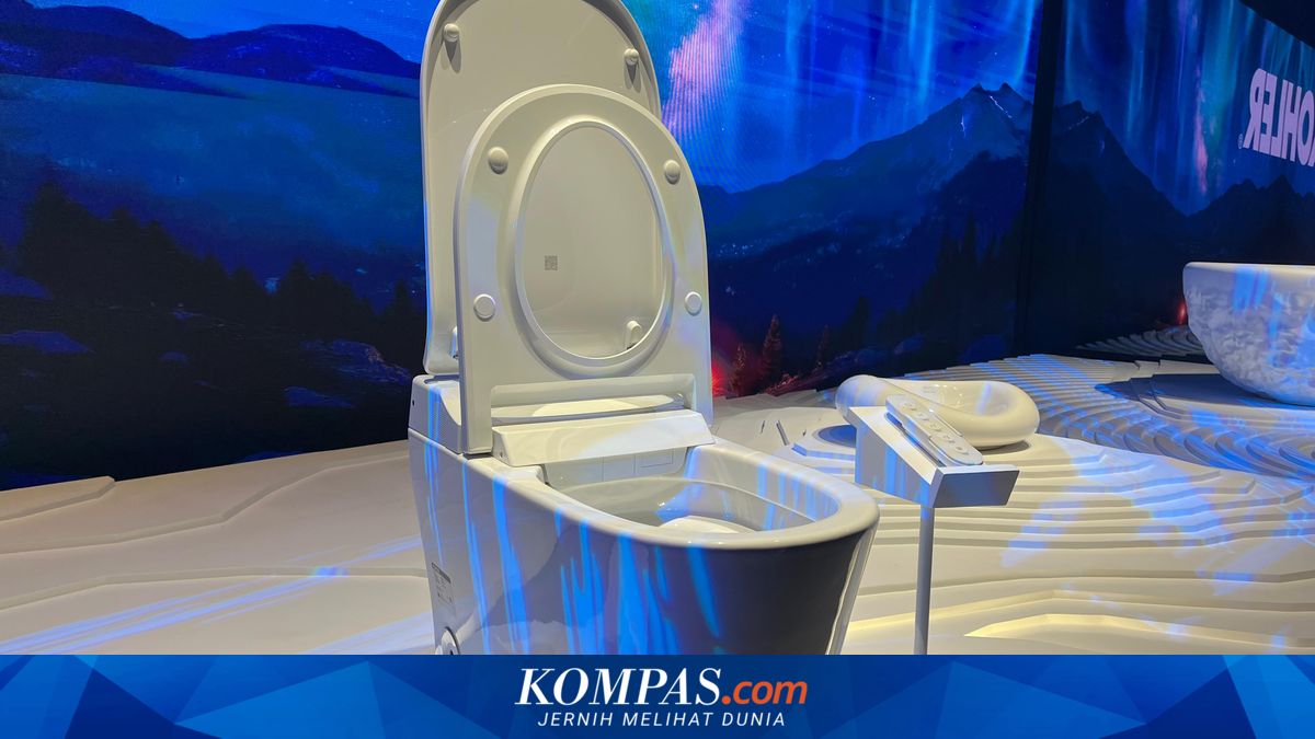 Why Do Westerners Prefer Sitting Toilets Over Squat Toilets?