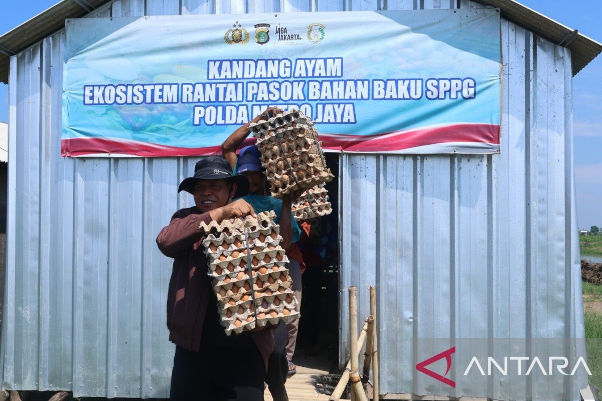 Polda Metro Jaya distributes 3,000 harvested eggs to SPPG in Bekasi