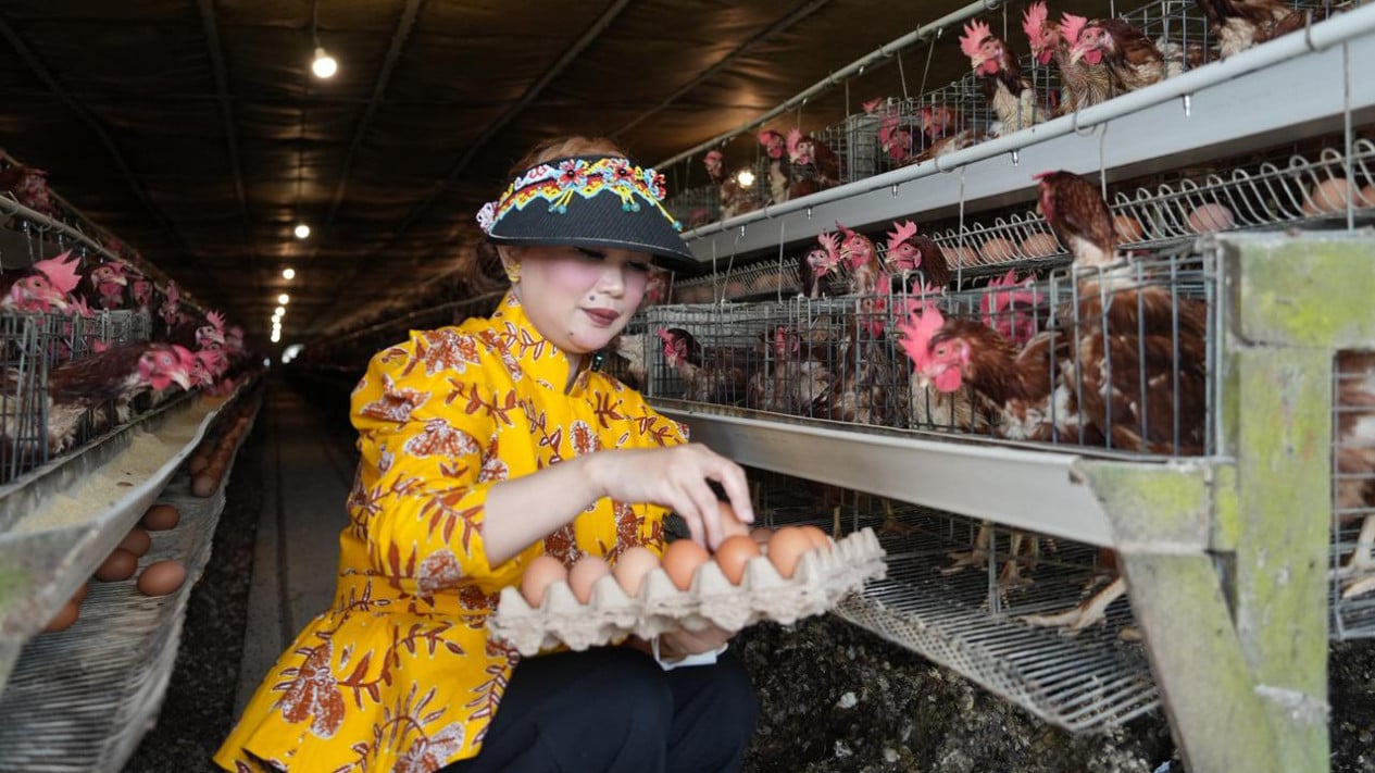 Concerned Over Plummeting Egg Prices, MP Urges Trade Ministry to Partner with National Nutrition Agency