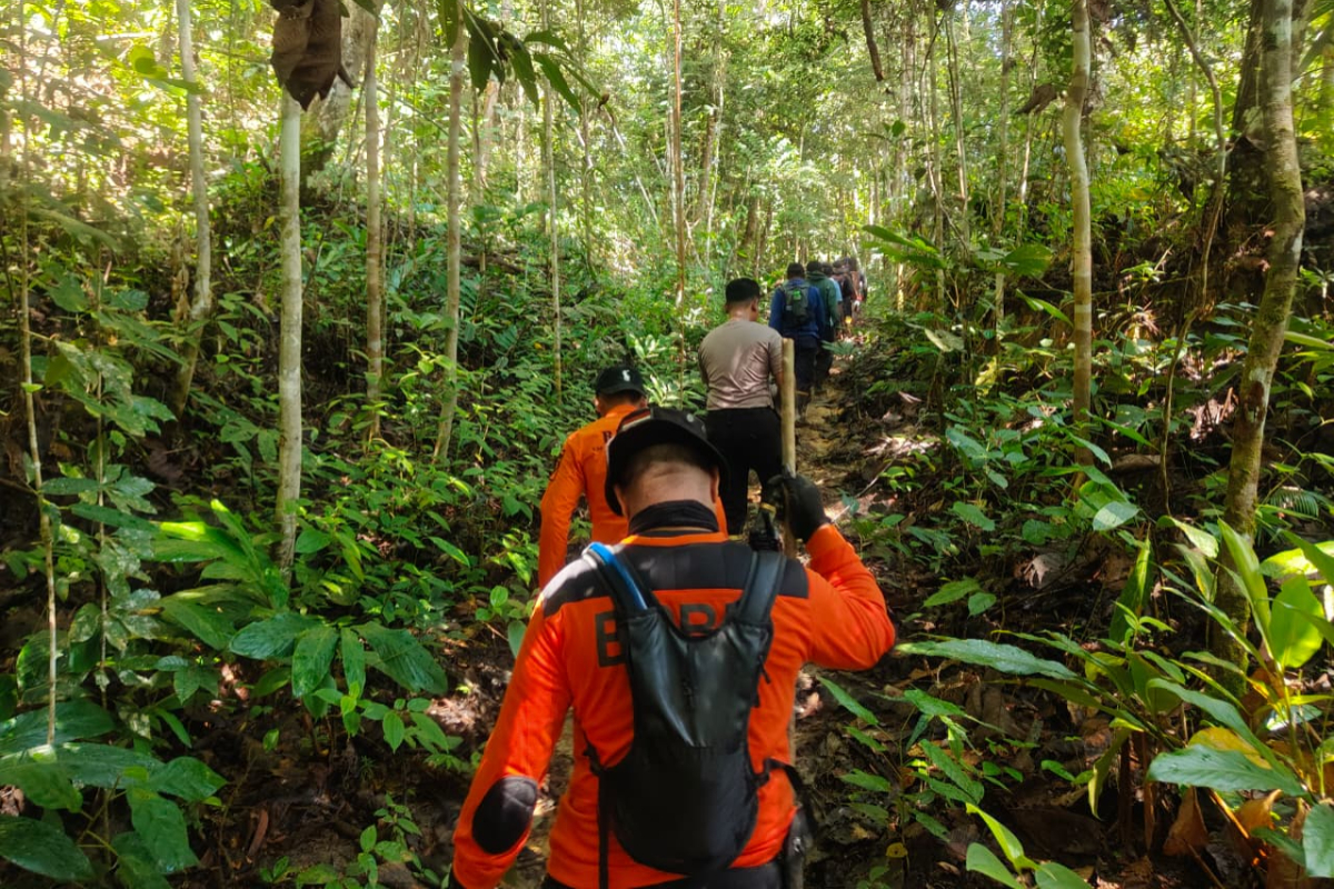 Forest Hunter Missing in Sepaku, PPU Since Saturday as Joint Team Continues Search