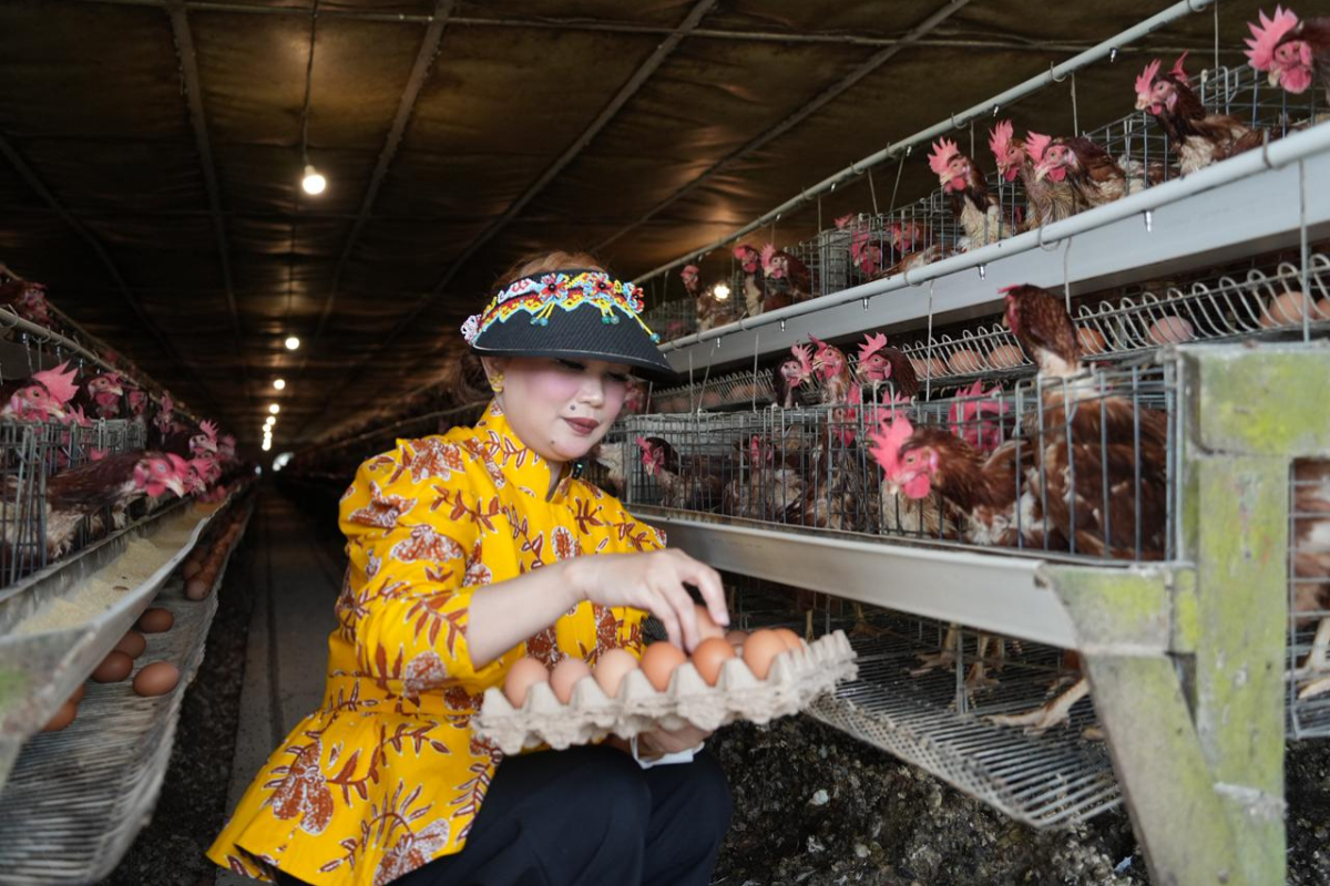Egg Prices Plummet as Commission VI Urges Trade Ministry to Partner with National Nutrition Agency to Address Oversupply