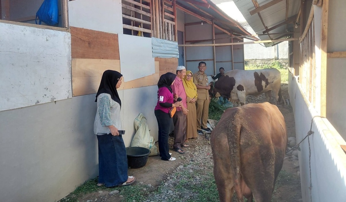 Huntara residents in Padang receive five sacrificial cows for Eid al-Adha