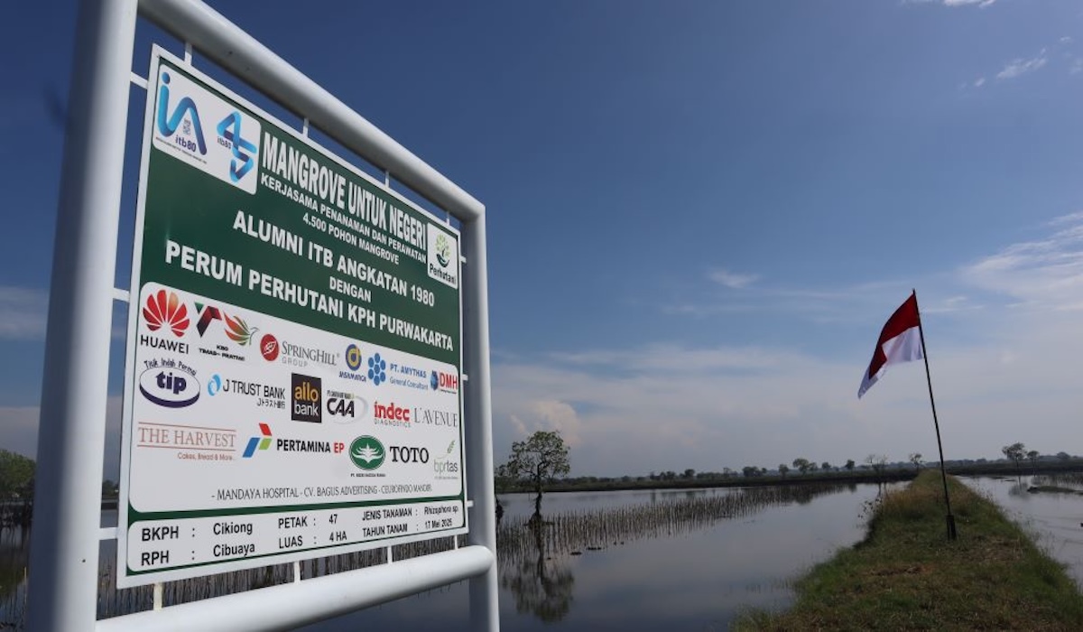 Green Savings Support Mangrove Restoration