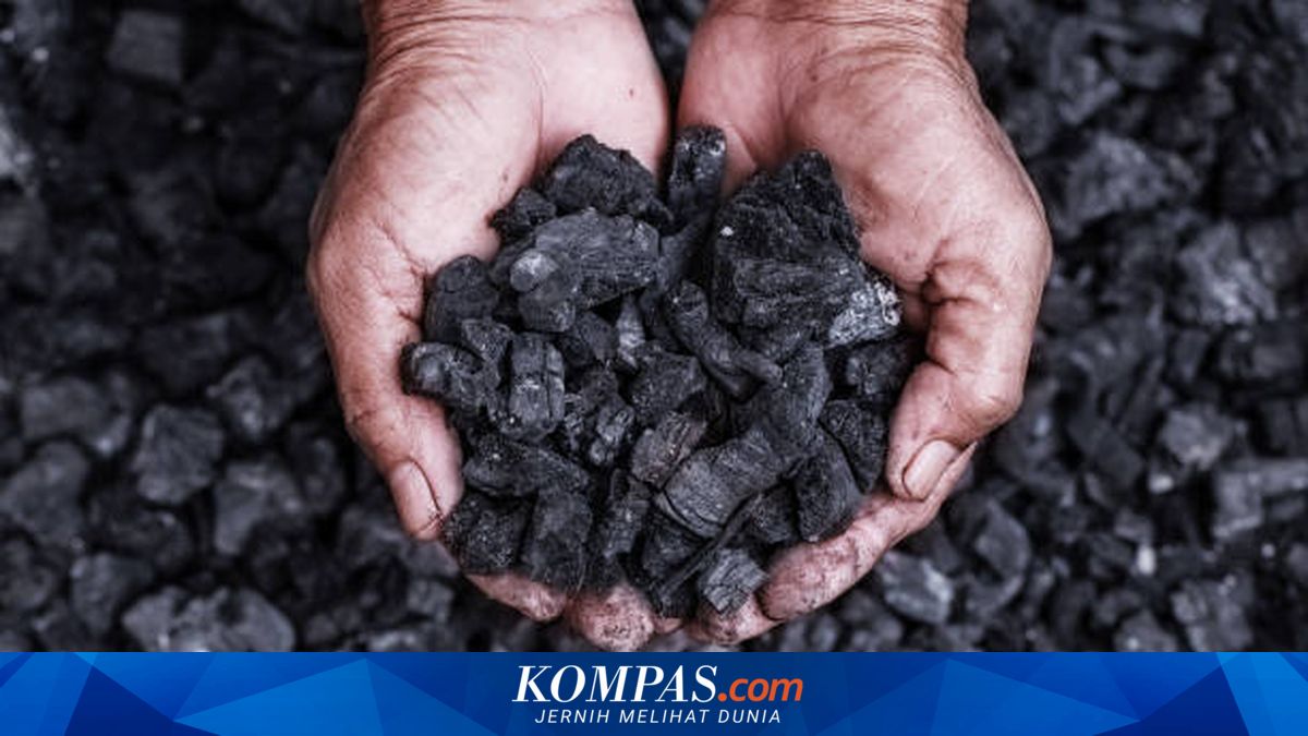 Energy Security and Costs Pose Challenges for Coal ESG Implementation