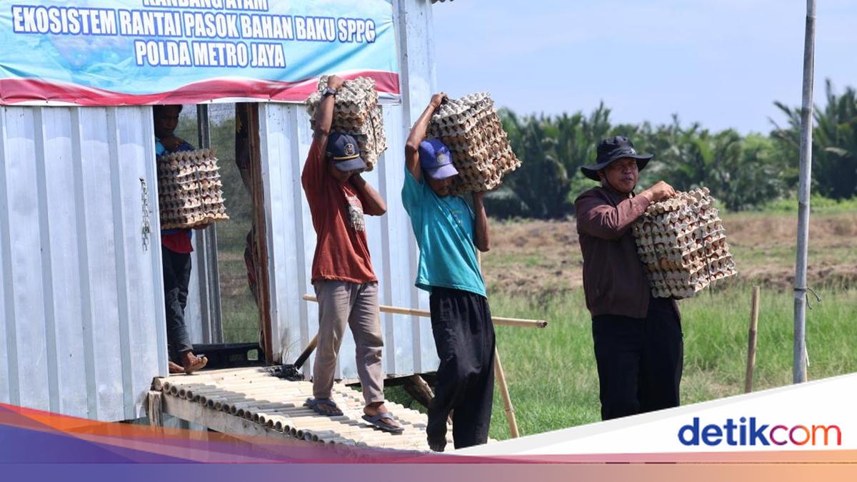 3,000 eggs harvested in Bekasi as Polda Metro Jaya distributes to Nutrition Service Unit