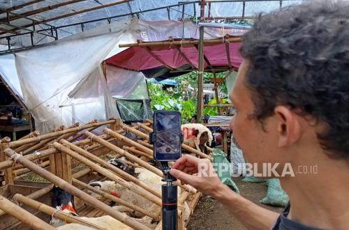 Weak Consumer Purchasing Power Drives Bandung Vendors to Use Live Streaming for Sacrificial Animal Sales