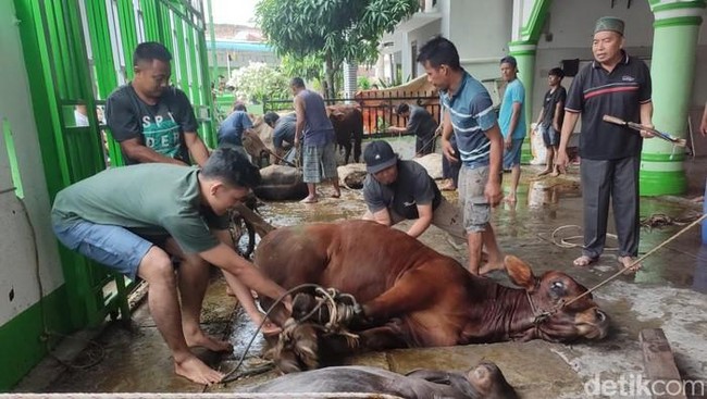 Complete Procedure and Prayers for Eid al-Adha Sacrifice