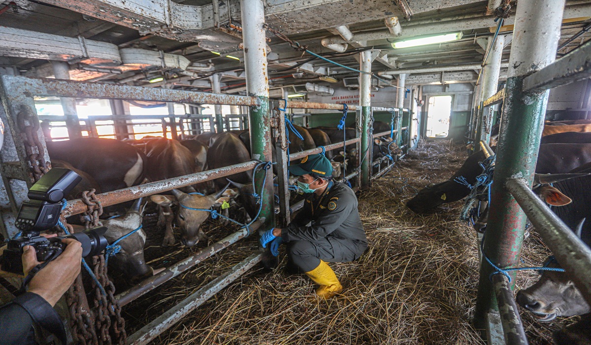 Sacrificial Waste Can Be Converted into Organic Fertiliser