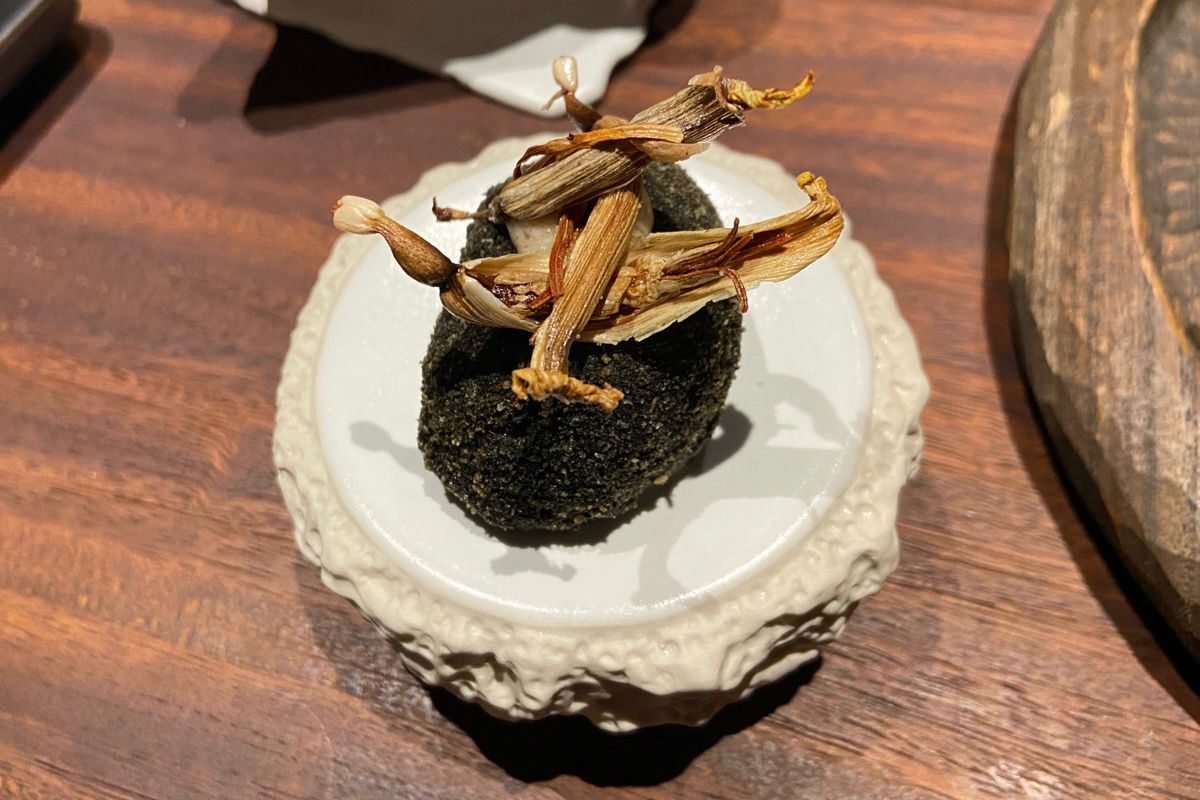 Savouring Artistic Japanese-Italian Fusion at RIN Culinary Art
