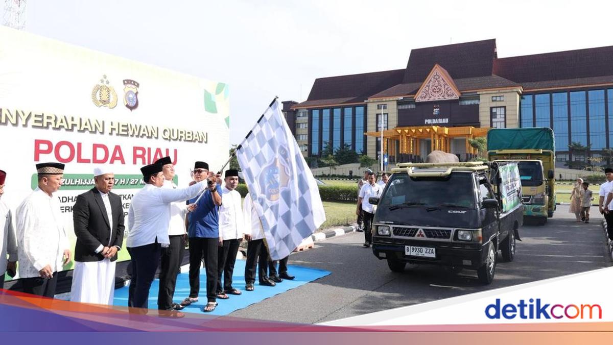 Riau Police Sacrifice 195 Animals for Eid al-Adha, Distribute to Remote Villages