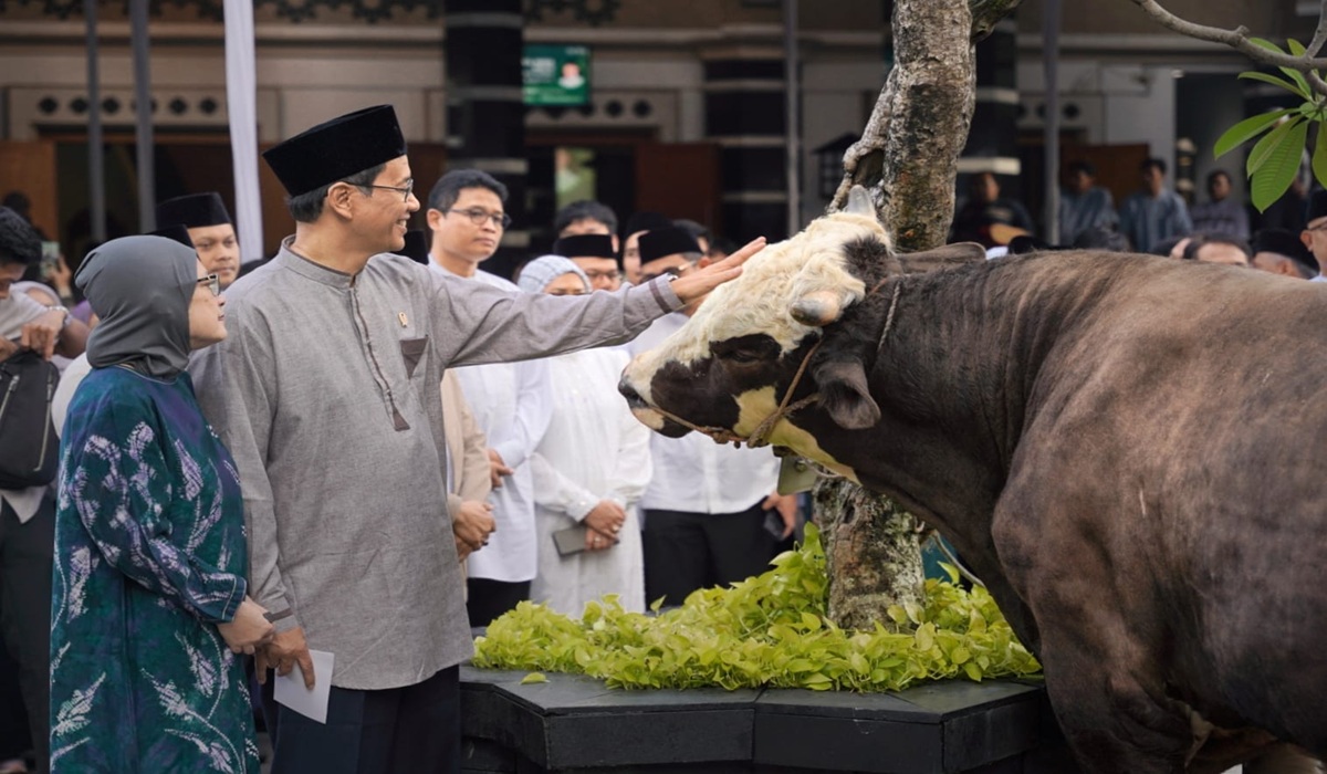 Finance Minister Purbaya Yudhi Sadewa Uses Cancelled Hajj Funds for Sacrificial Cow