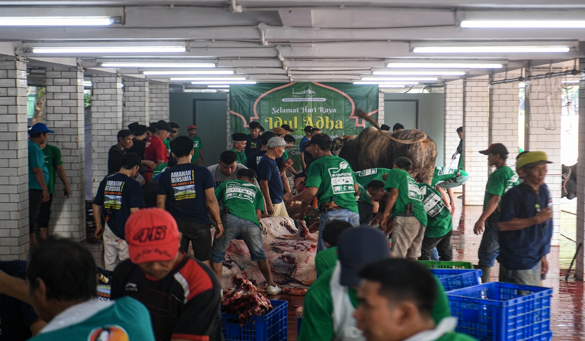 Istiqlal Mosque Eid al-Adha Sacrifice: 64 Cows, 13 Goats, No On-Site Distribution