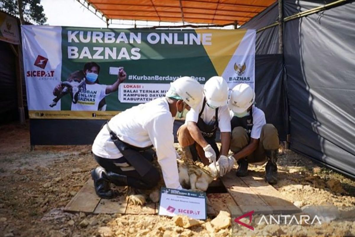 Last-minute Qurban? Trusted Online Qurban Services