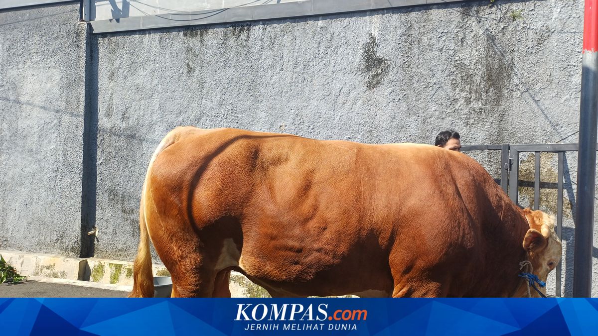 Deputy Governor Rano Karno Confident Jakarta Residents Understand Livestock Waste Management During Eid al-Adha