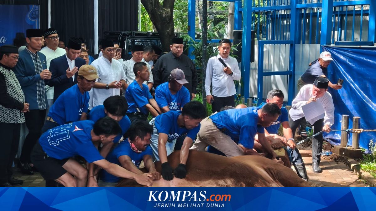 Idul Adha 1447 H: Democratic Party Sacrifices 63 Cows