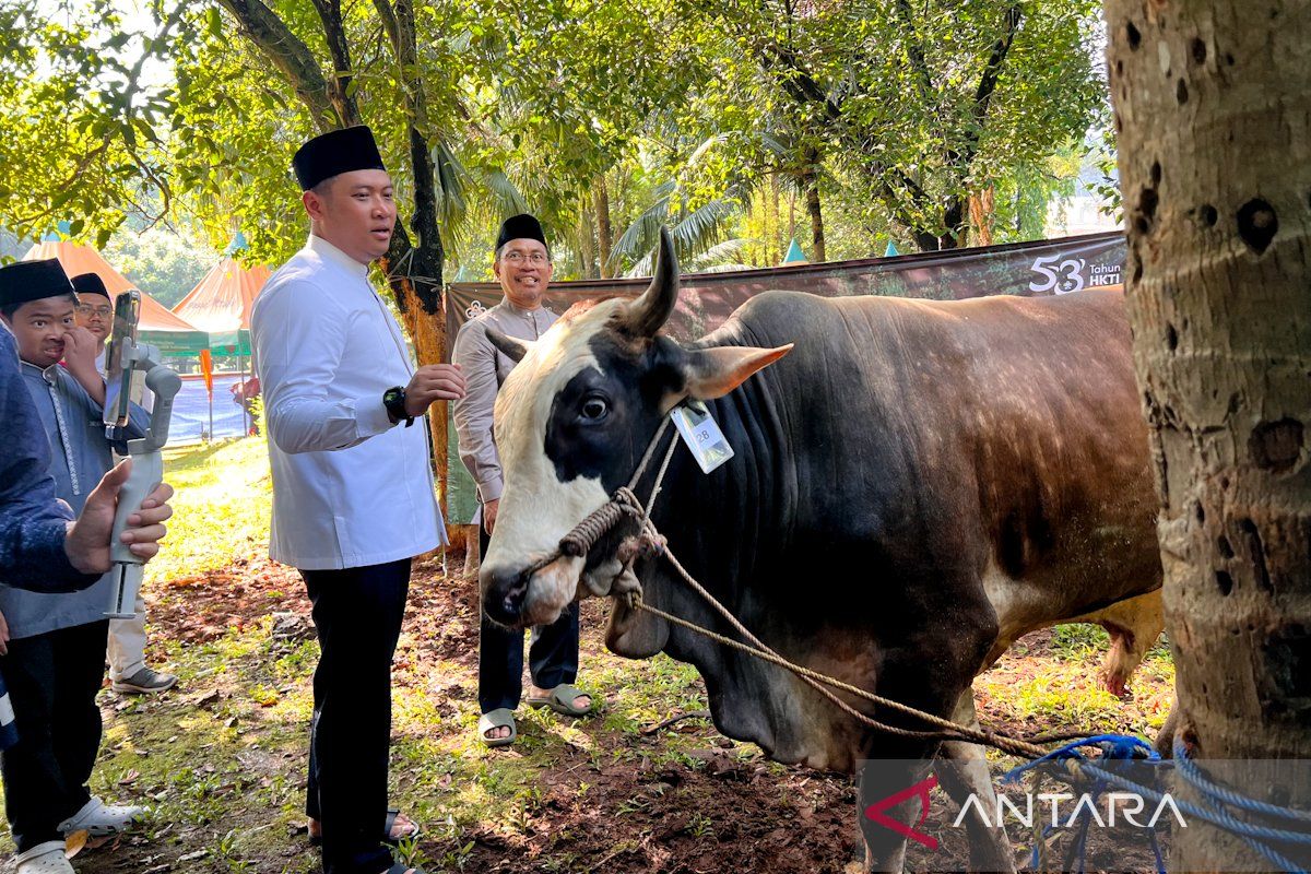 Ministry of Agriculture and HKTI Distribute 49 Sacrificial Animals for Eid al-Adha 1447 AH