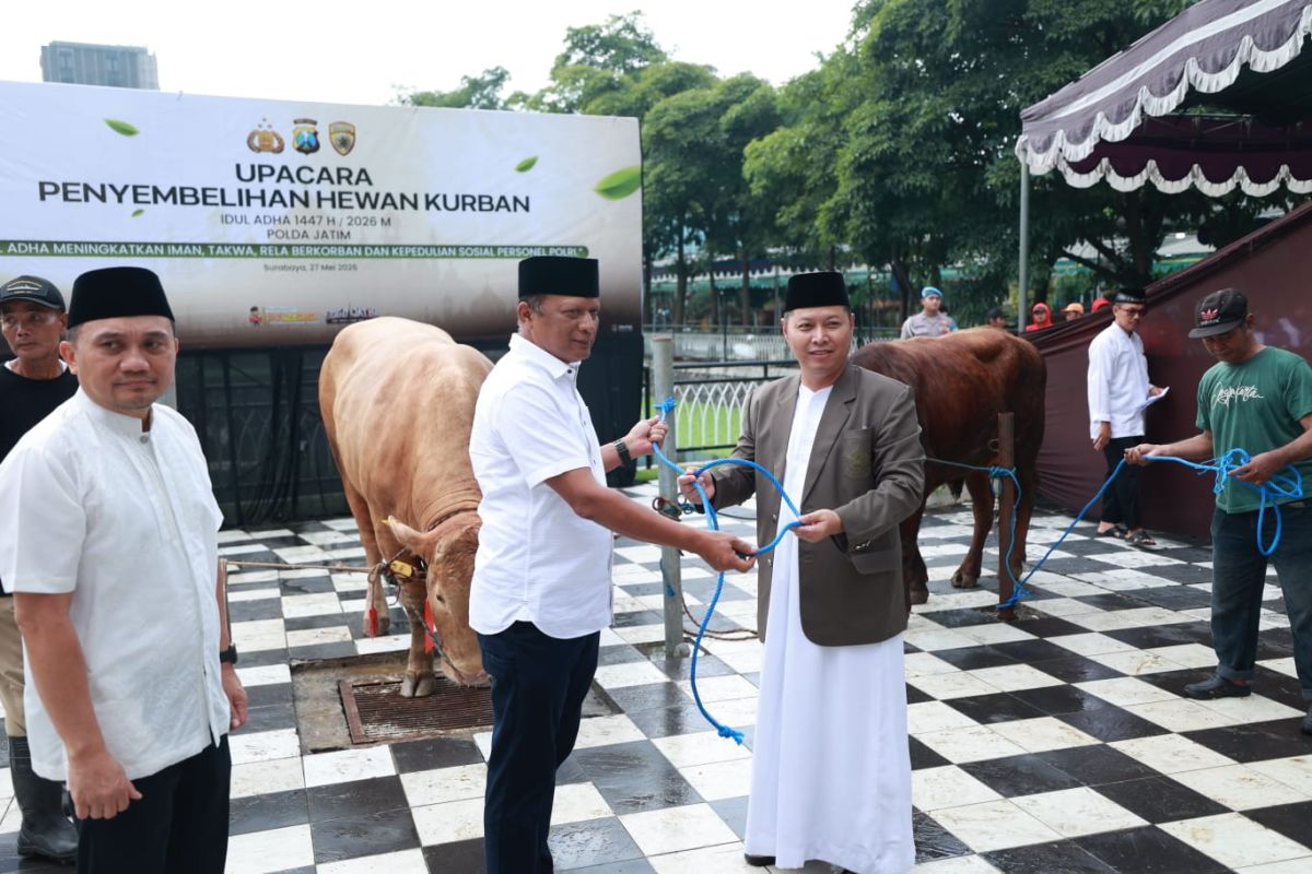 East Java Police distribute 149 sacrificial animals to the public