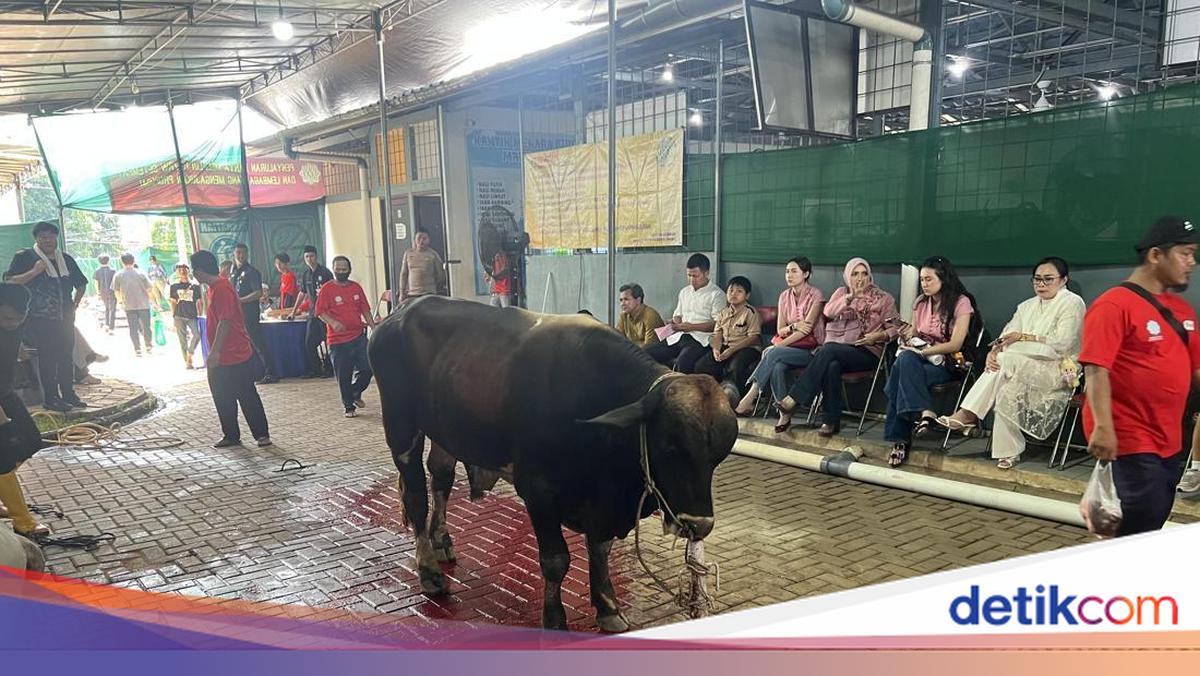 Pondok Indah Grand Mosque in South Jakarta Receives 10 Cows and 35 Goats for Eid al-Adha