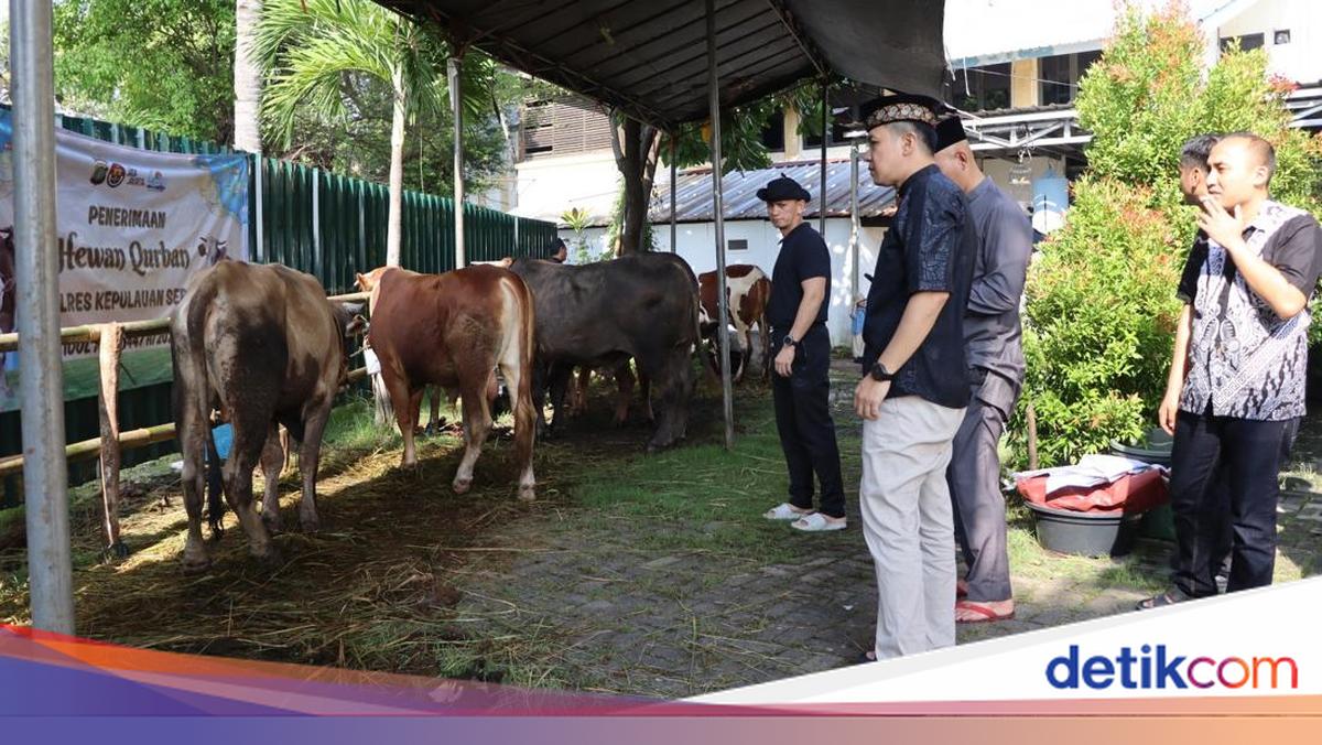 Polres Kepulauan Seribu Distributes 58 Sacrificial Animals to Island Residents